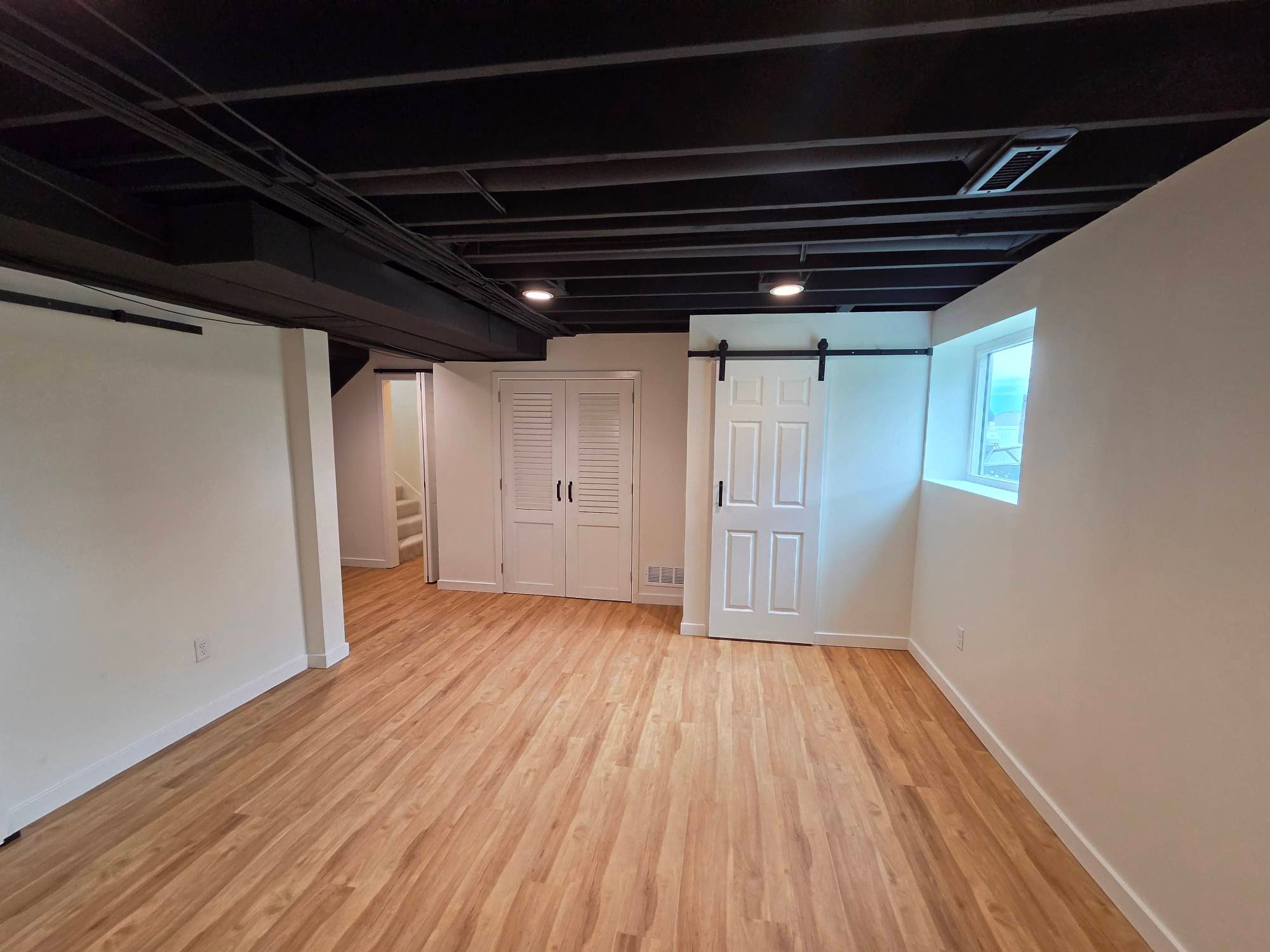 Complete Basement in Blue Springs, Mo.