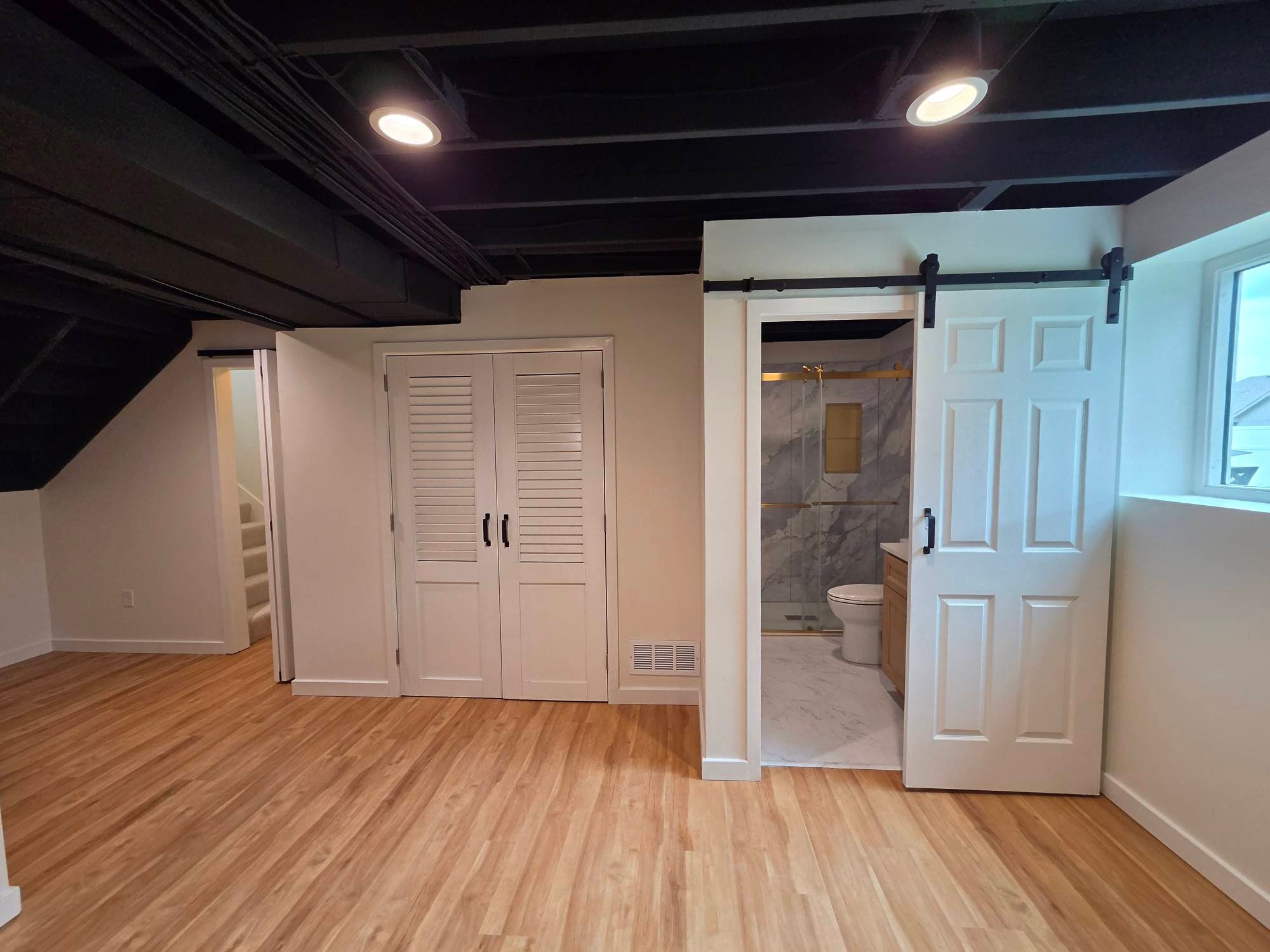 Complete Basement in Blue Springs, Mo.